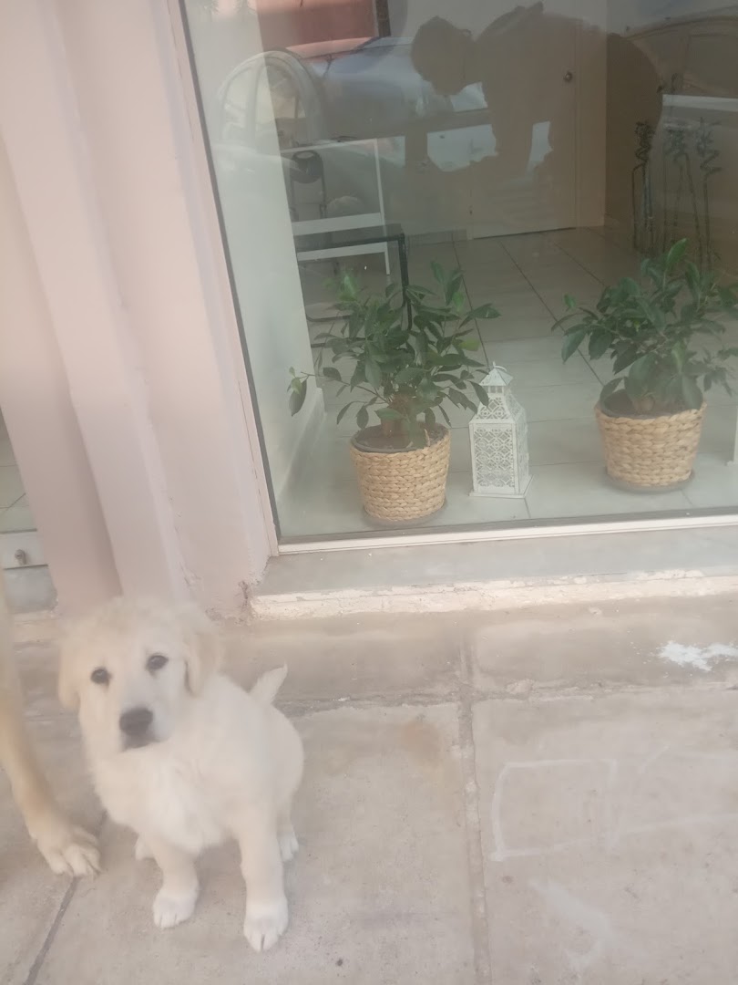 ZENSPA · Φωτογραφίες 7
